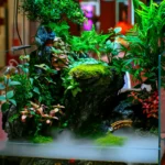 planted aquascape nano tank aquanabzi dubai