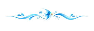 aquanabzi header logo